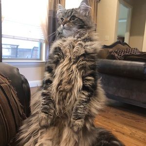 Meet your Posher, Chloe